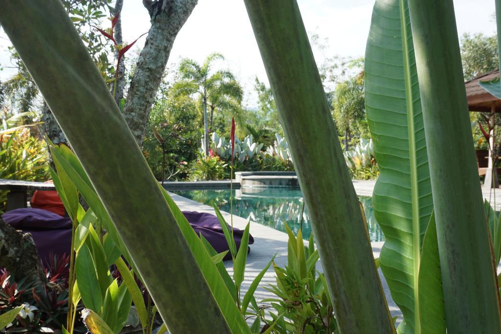 Ibludan Hotel Senggigi Luaran gambar