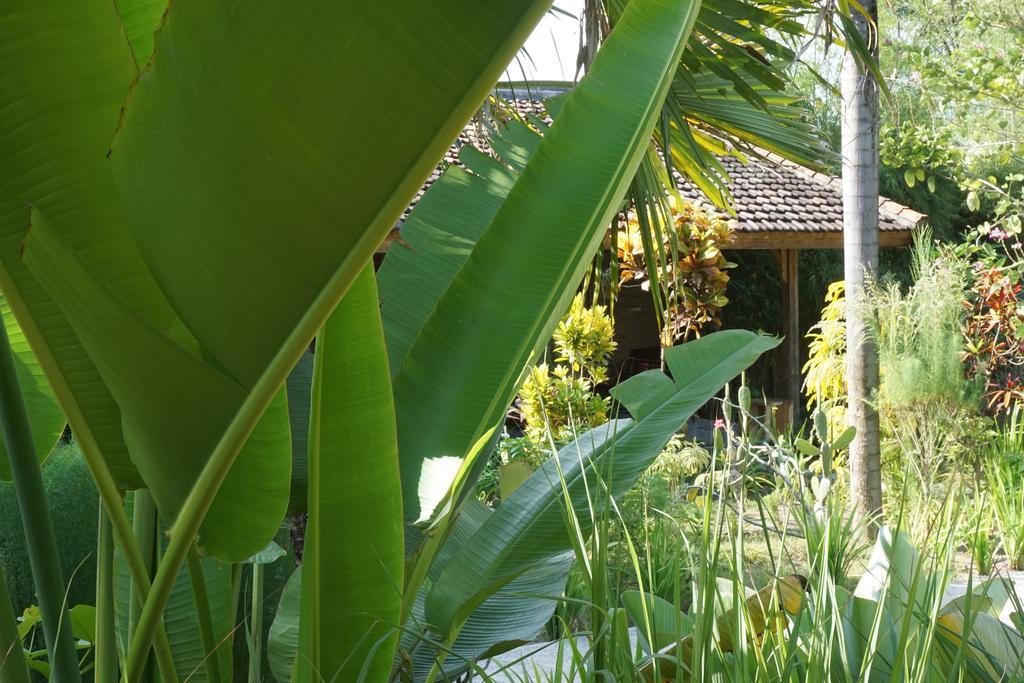Ibludan Hotel Senggigi Luaran gambar