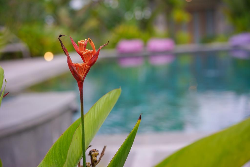 Ibludan Hotel Senggigi Luaran gambar